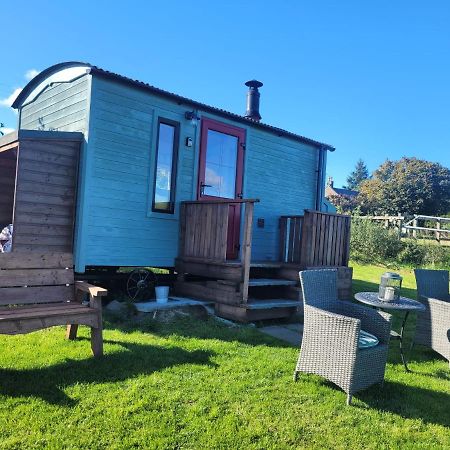 The Shepherds Hut At Forestview Farm Greenisland المظهر الخارجي الصورة