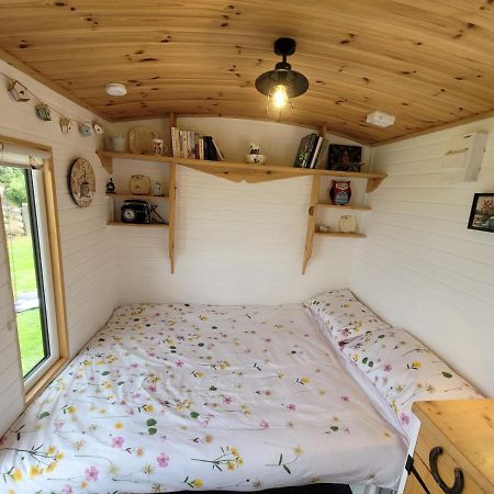 The Shepherds Hut At Forestview Farm Greenisland المظهر الخارجي الصورة