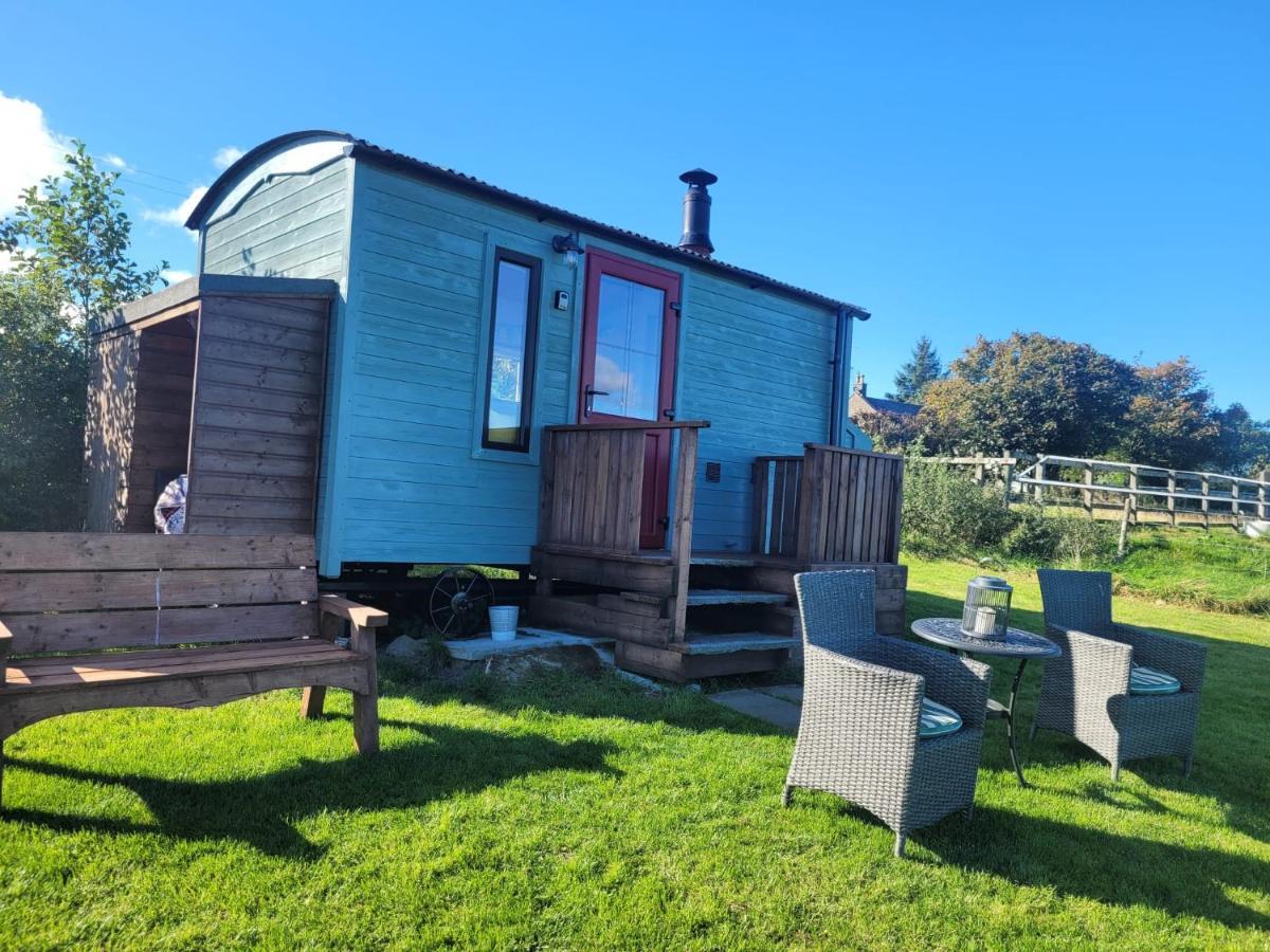 The Shepherds Hut At Forestview Farm Greenisland المظهر الخارجي الصورة