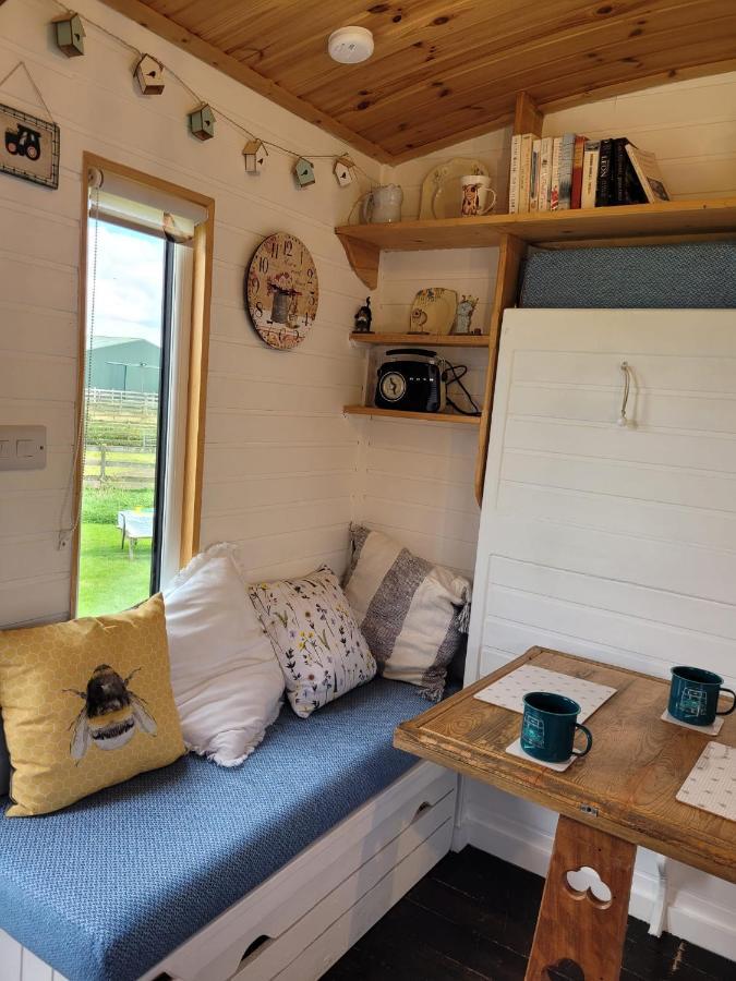 The Shepherds Hut At Forestview Farm Greenisland المظهر الخارجي الصورة