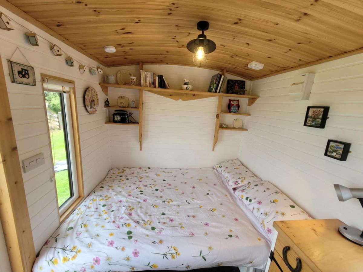 The Shepherds Hut At Forestview Farm Greenisland المظهر الخارجي الصورة
